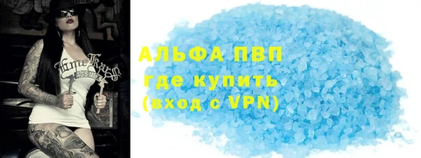 индика Костерёво