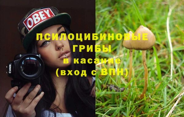 индика Костерёво