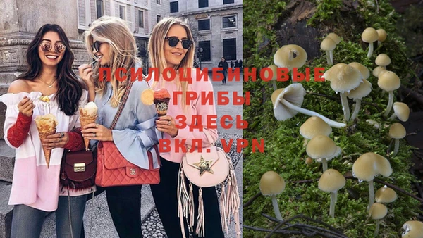 индика Костерёво