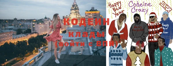 индика Костерёво