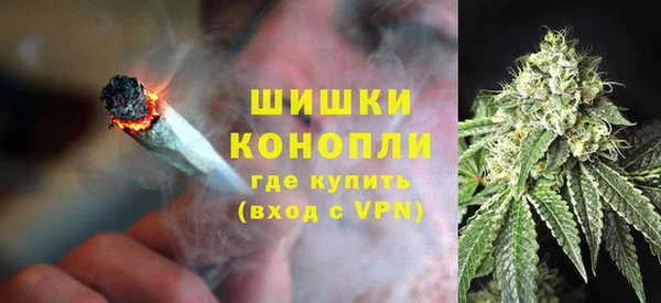 индика Костерёво