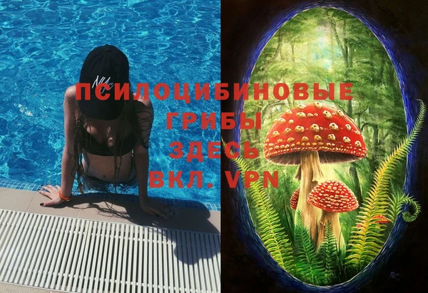 индика Костерёво