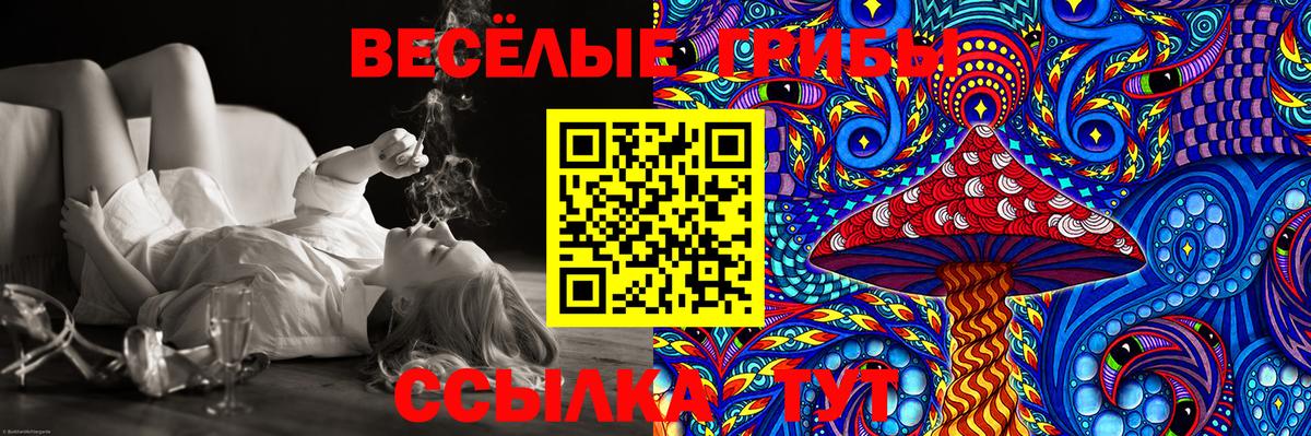 Галлюциногенные грибы Psilocybe  Вход с VPN  Краснокамск 